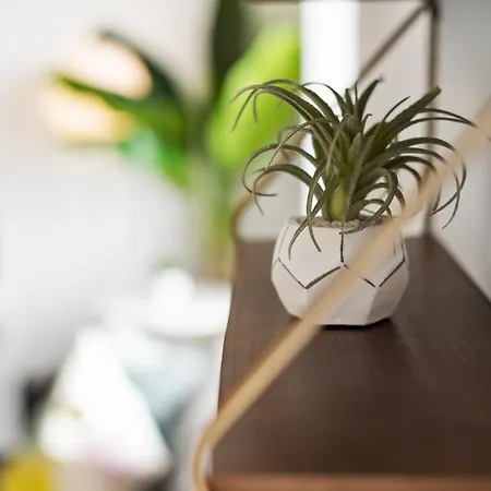 דירה Arbio I Premium Penthouse אוגסבורג